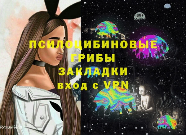 дмт Аркадак