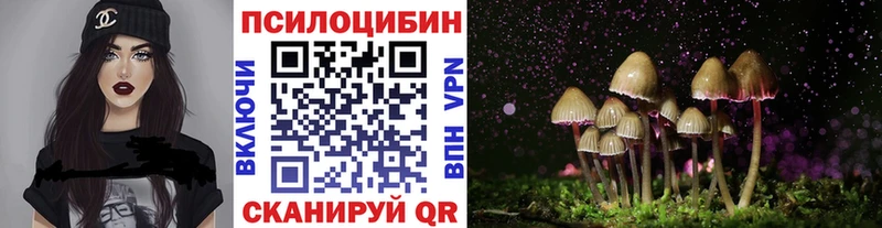 площадка состав  купить закладку  Артёмовск  Псилоцибиновые грибы Psilocybe 